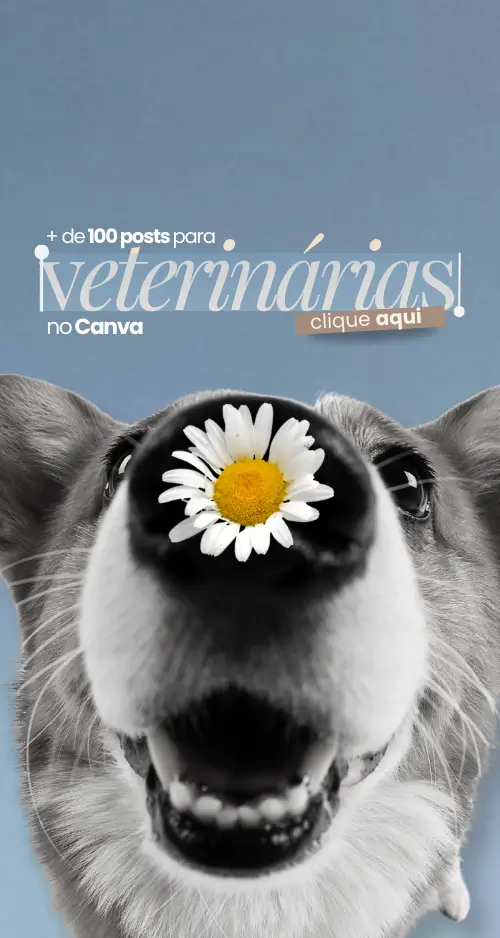 Pacote de Posts para Veterinárias